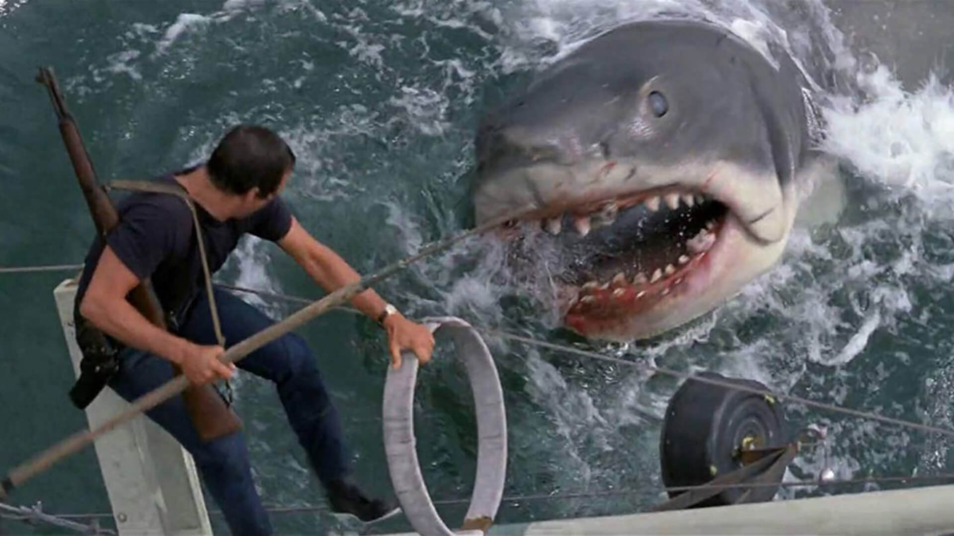 Документальные фильмы про акул