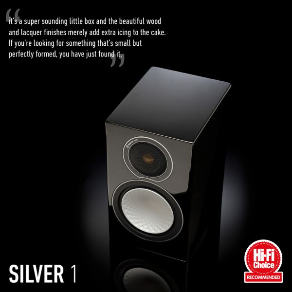 monitor silver 1